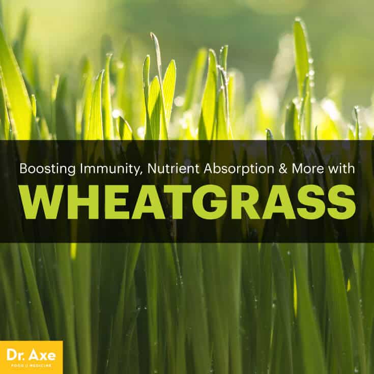 “Say Goodbye to Inflammation: Harness the Power of Wheatgrass!”