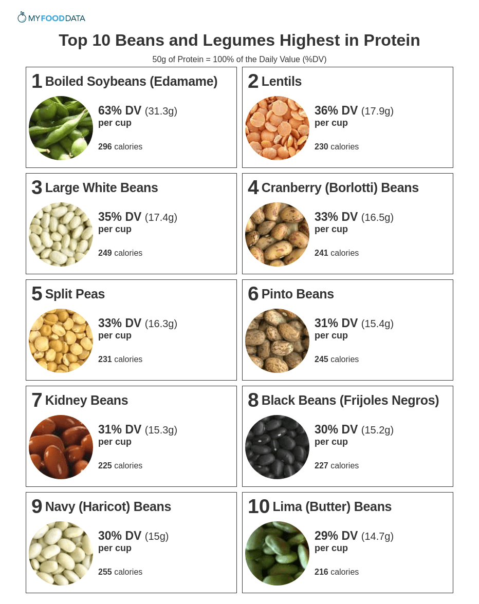 “Protein on a Budget: Affordable Sources to Fuel Your Health”