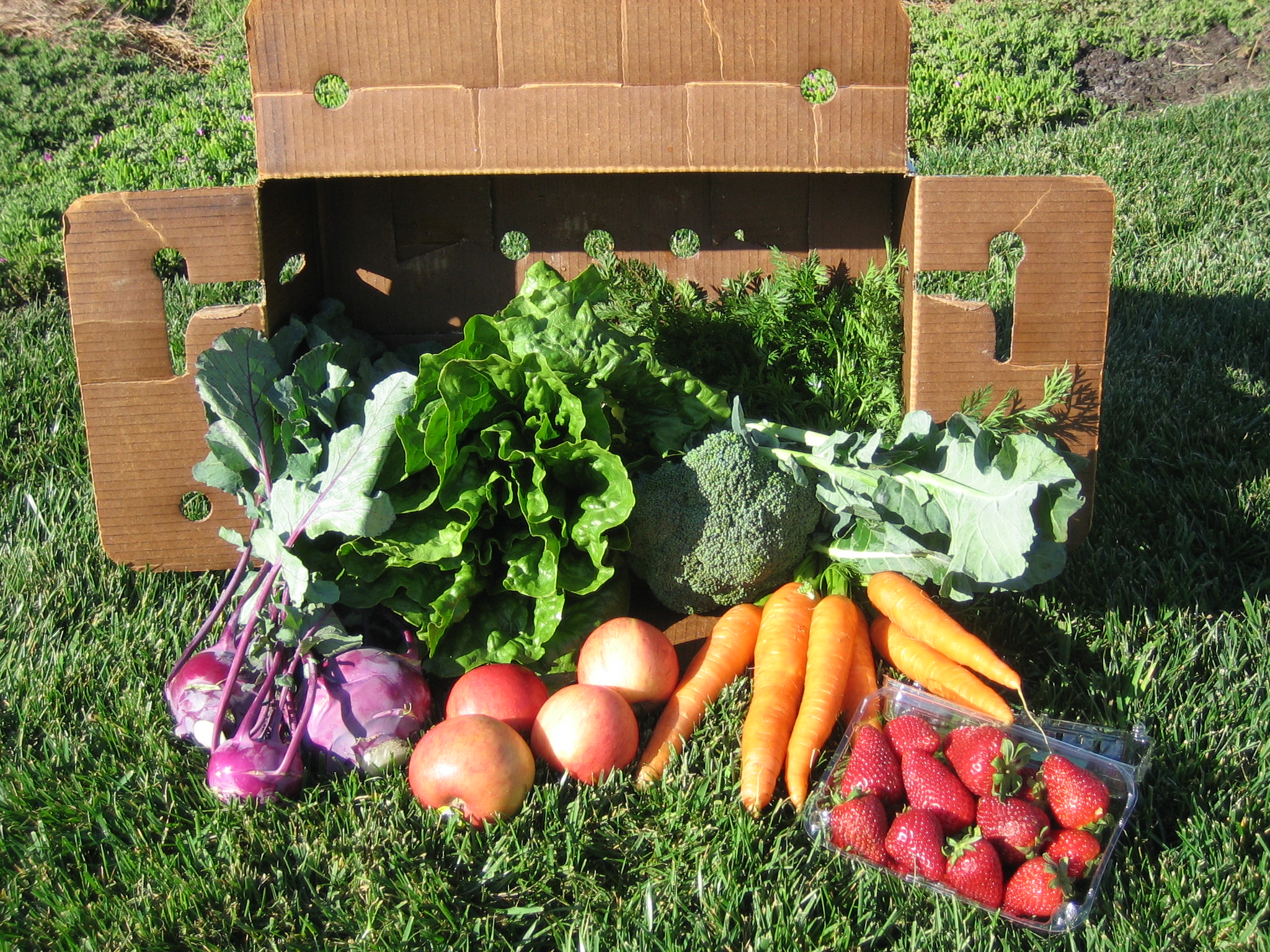 “From Farm to Fork: Embracing Local and Seasonal Delights for a Flavorful Journey”