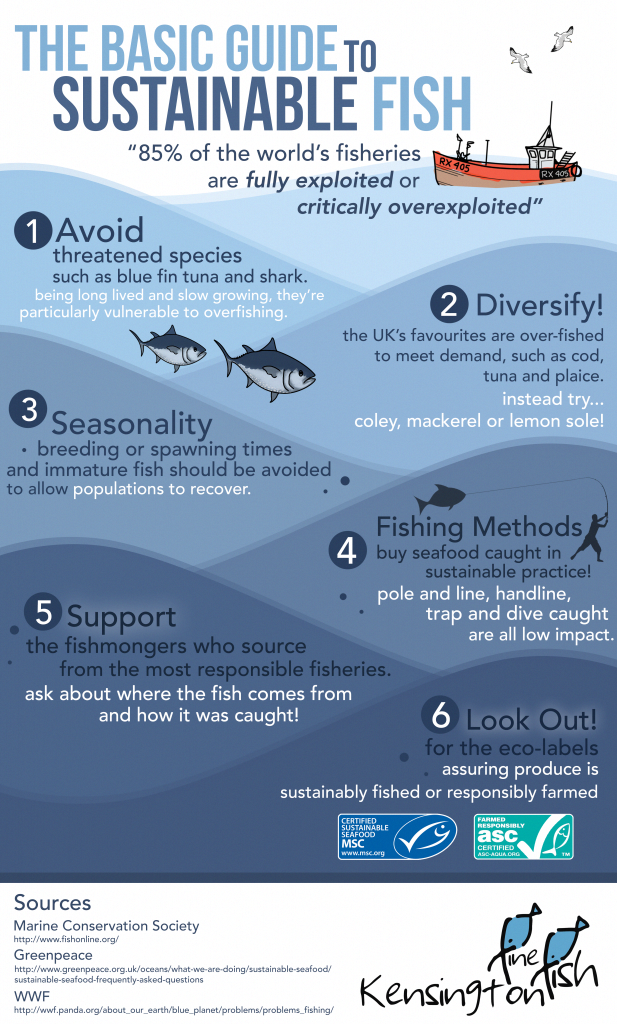 The Eco-Friendly Power of Pescatarianism