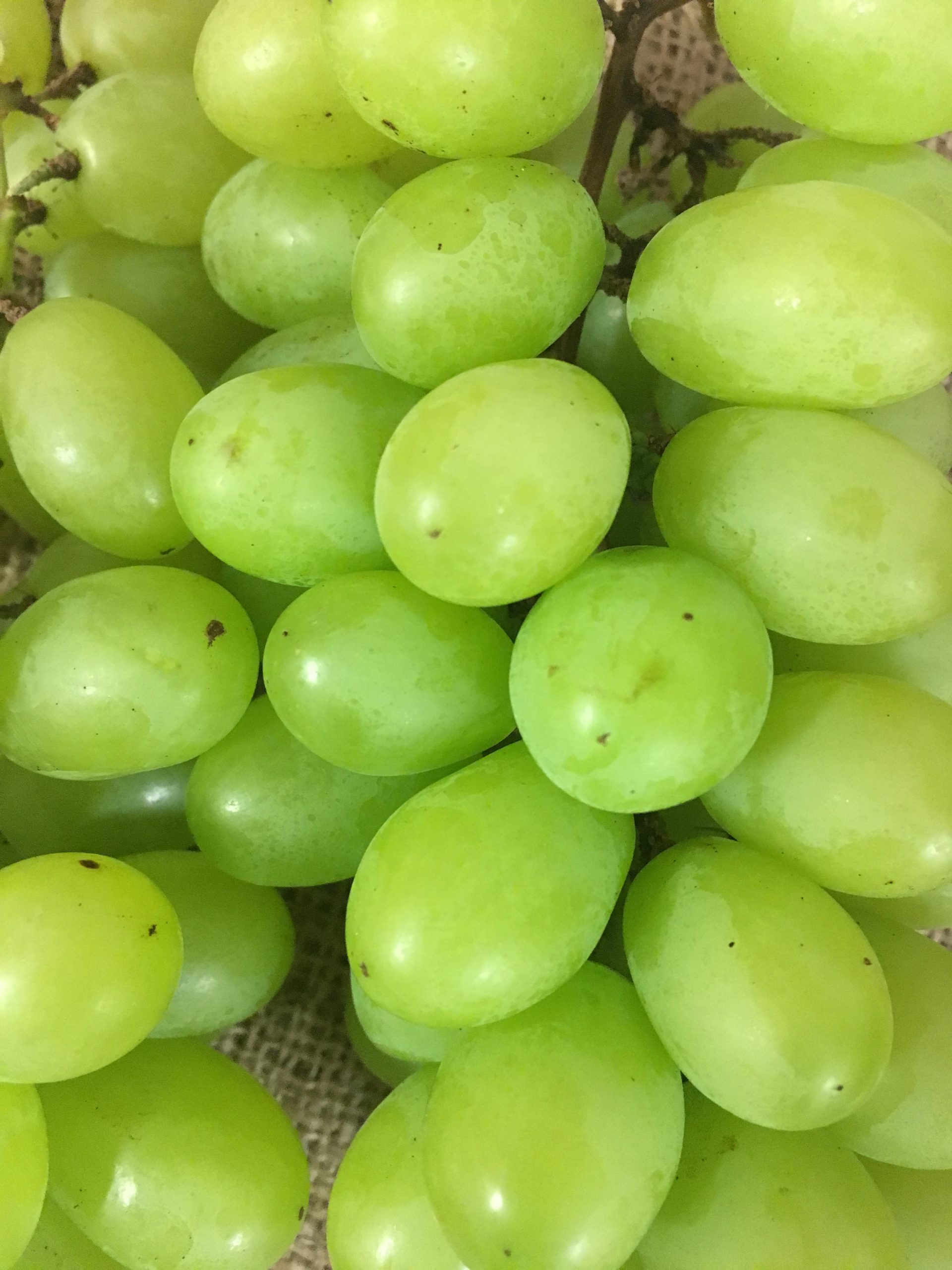 "Green Grapes: The Delicious and Nutrient-Packed Superfood for Your Health"