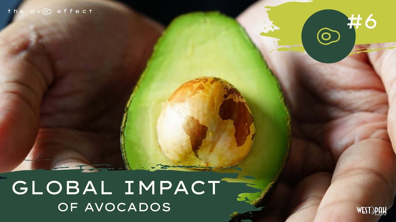 The Green Guacamole Dilemma: Balancing Avocado’s Environmental Impact with Availability and Price of Avocado Oil