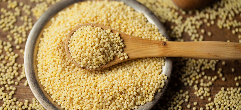 10 Reasons to Embrace Millet: The Nutrient-Packed Grain for a Healthier You