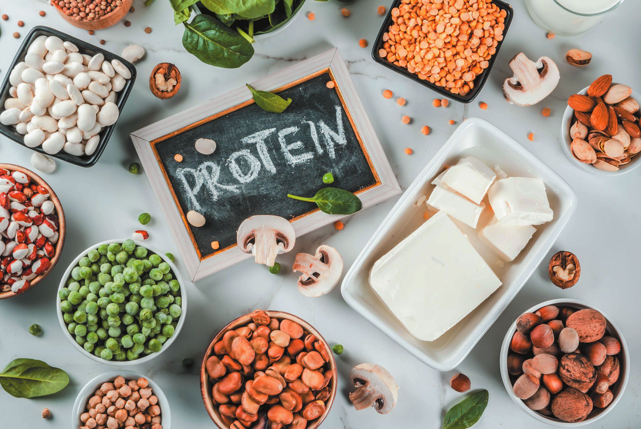 Plant-Based Protein Power: A Comprehensive Guide for Pregnant Women