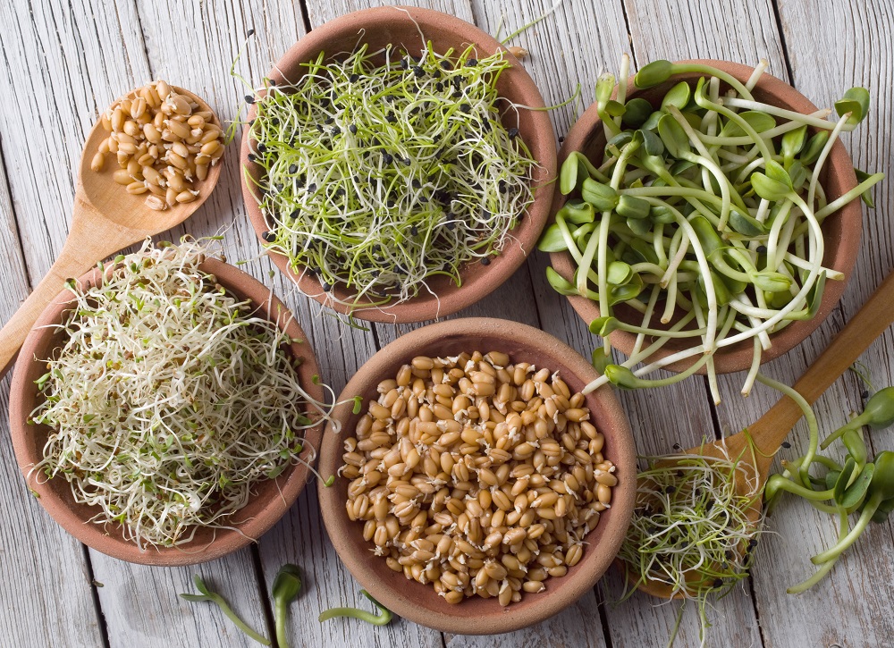 “Supercharge Your Meals with Homemade Sprouts: Boost Nutrition and Flavor!”