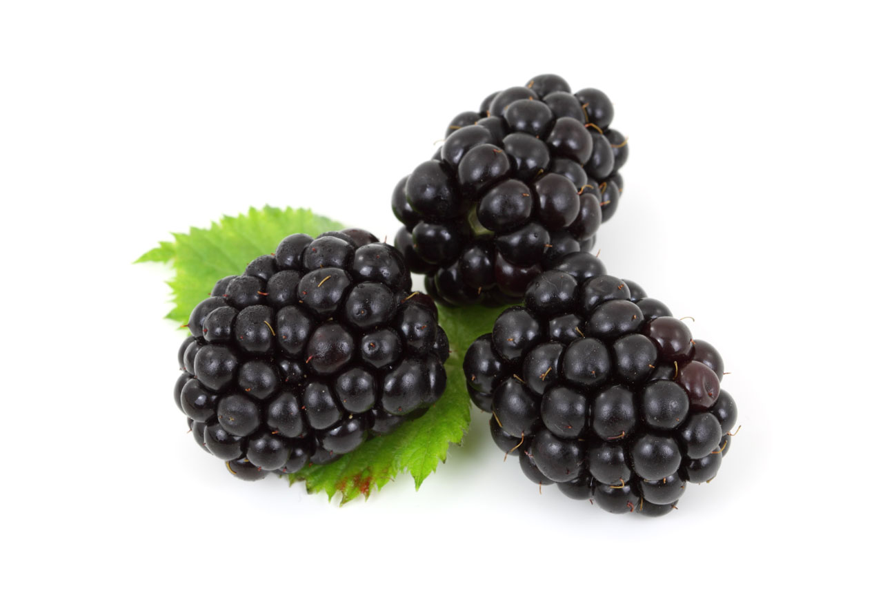 Boost Your Digestion with Delicious Blackberries