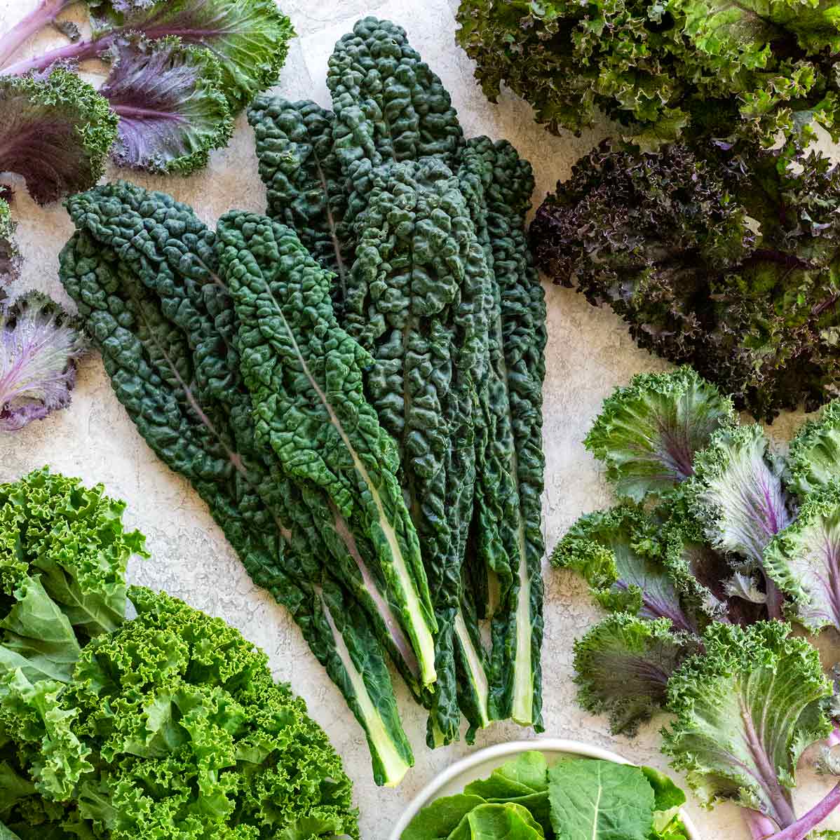 “Discover the Kale-idoscope of Flavors: Exploring 5 Popular Varieties of Kale”