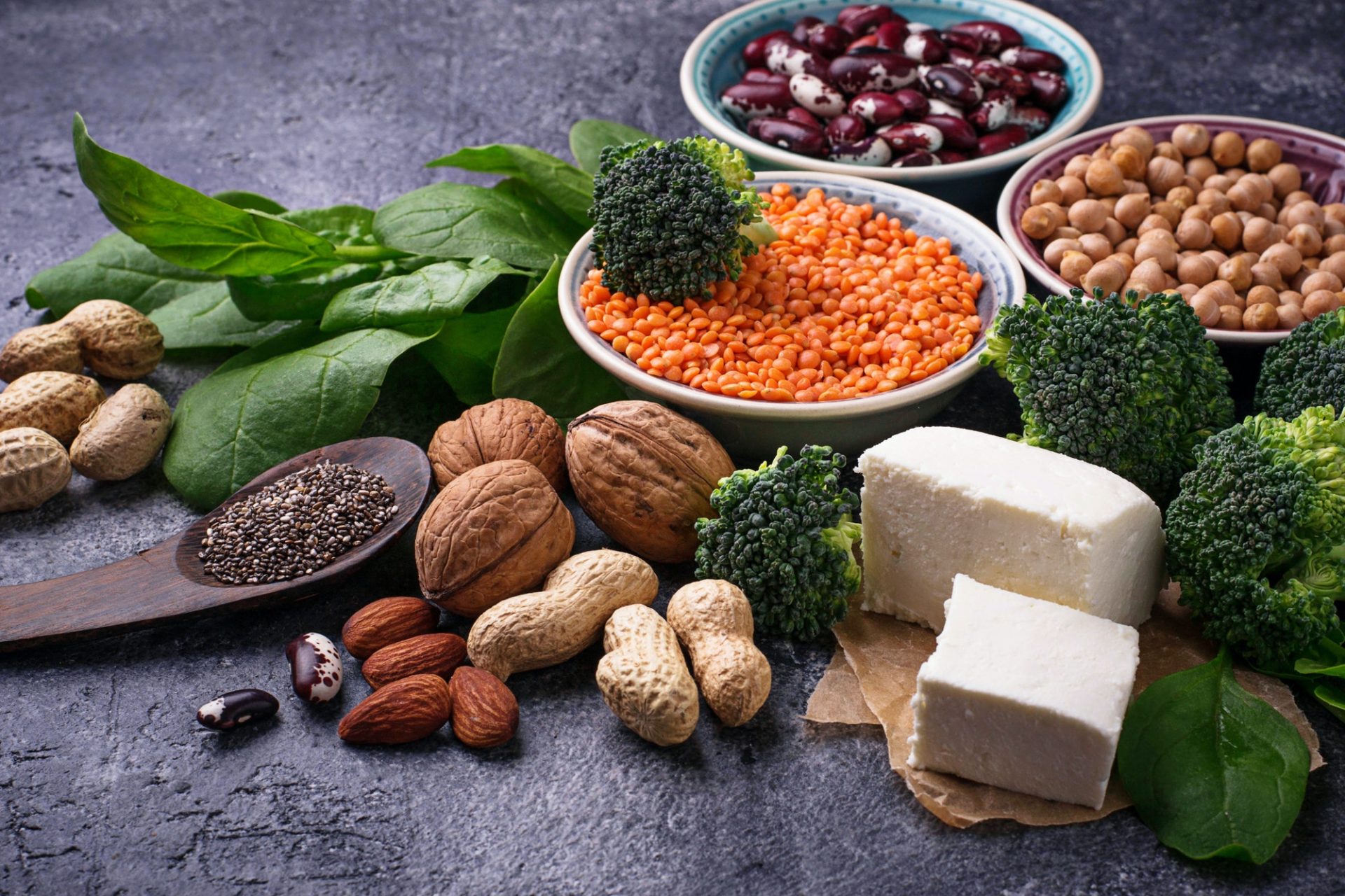 The Protein Puzzle: Animal vs. Plant-Based Diets – Unraveling the Nutritional Differences
