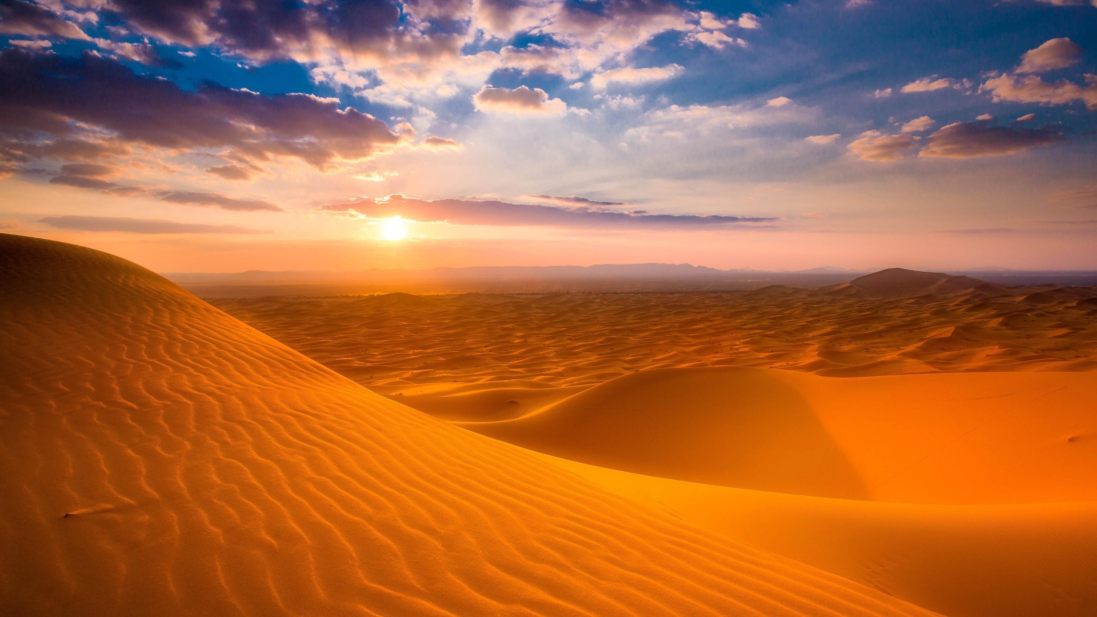 "Exploring the Sahara: Resilience, Adaptation, and Surprising Healthy Eats"