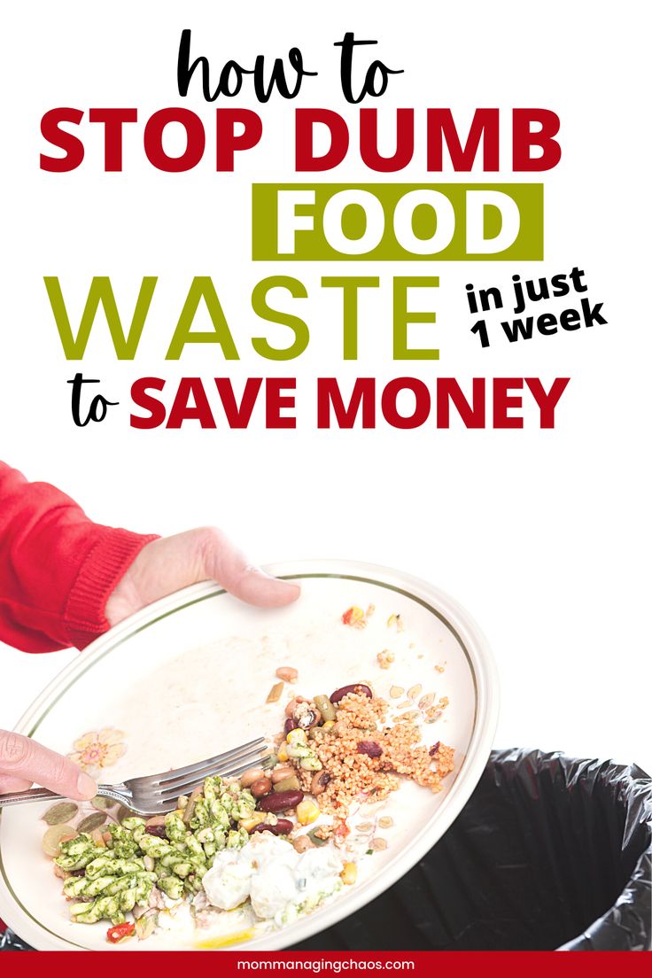 “Food Waste? Not Today! A Humorous Guide to Saving Money in the Kitchen”