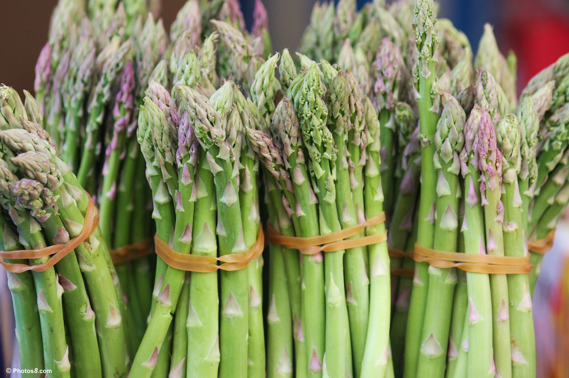 “Digestive Delight: Harness the Power of Asparagus for Improved Gut Health!”