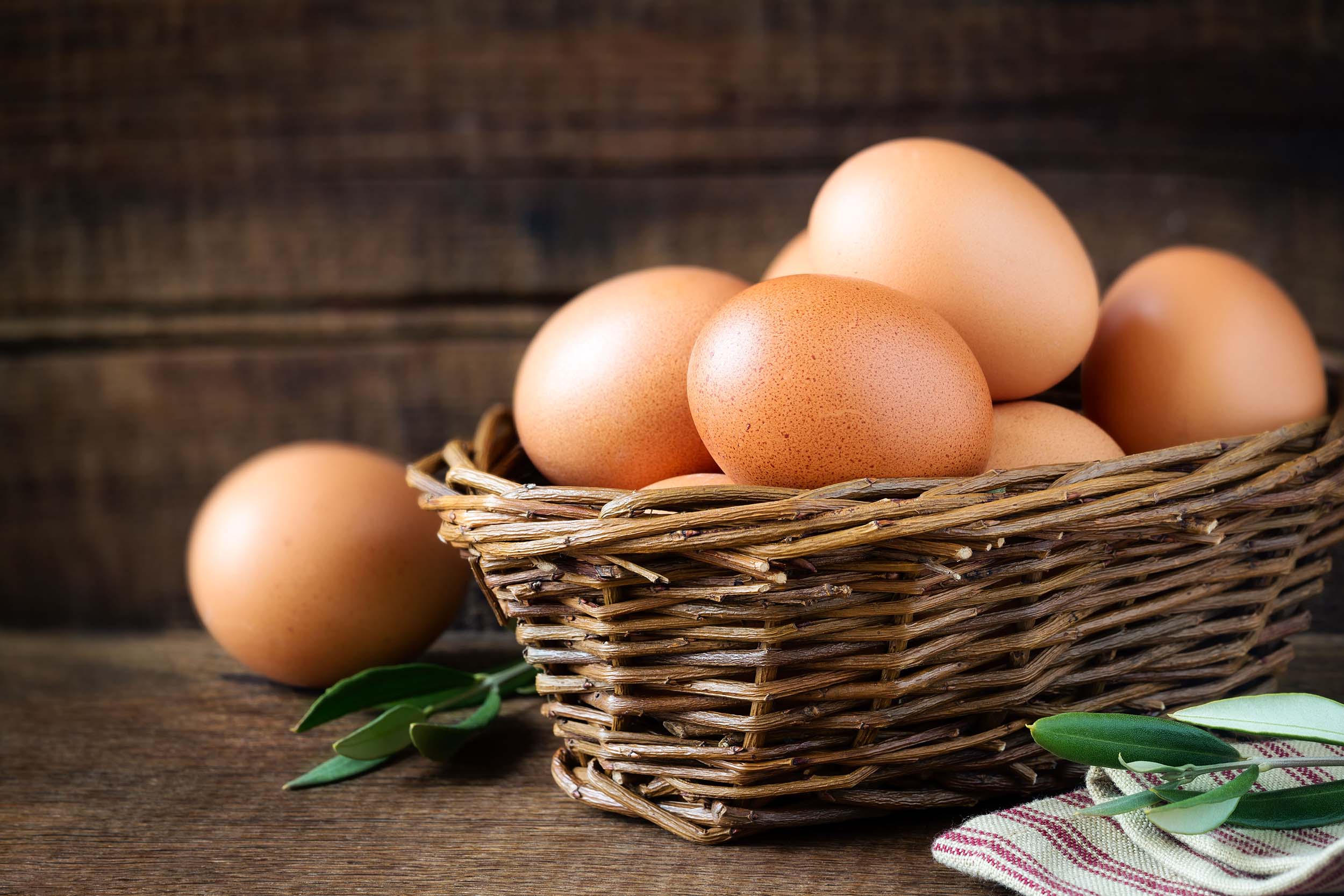 “Cracking the Code: The Ethical Appeal of Free-Range Eggs”