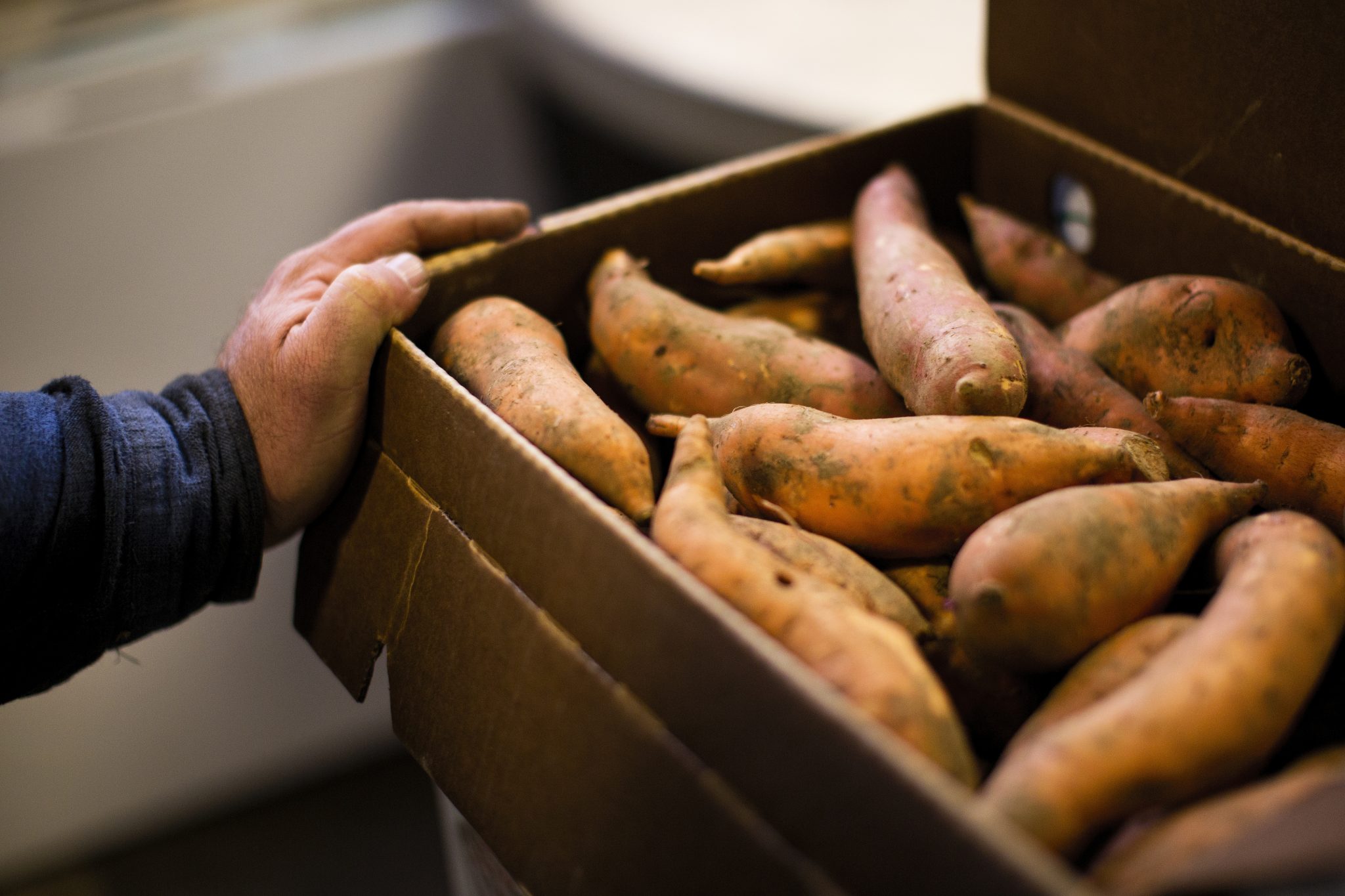 Preserve the Freshness and Nutritional Value of Sweet Potatoes with Proper Storage Techniques