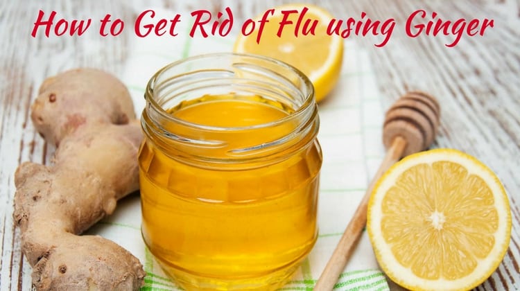 Ginger: The Natural Remedy for Cold and Flu Relief
