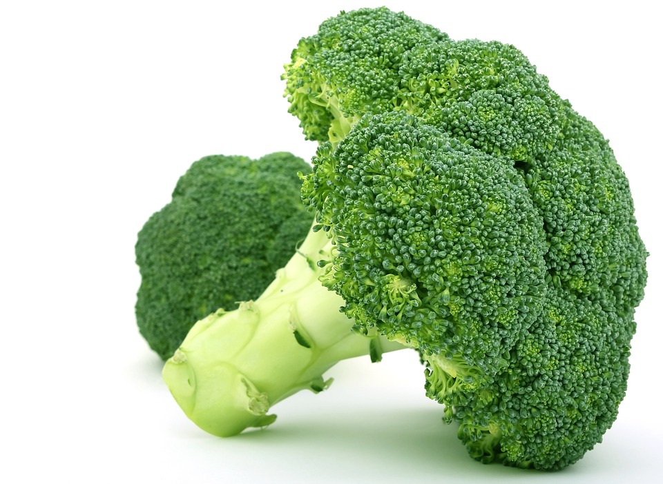 Broccoli: The Antioxidant Powerhouse