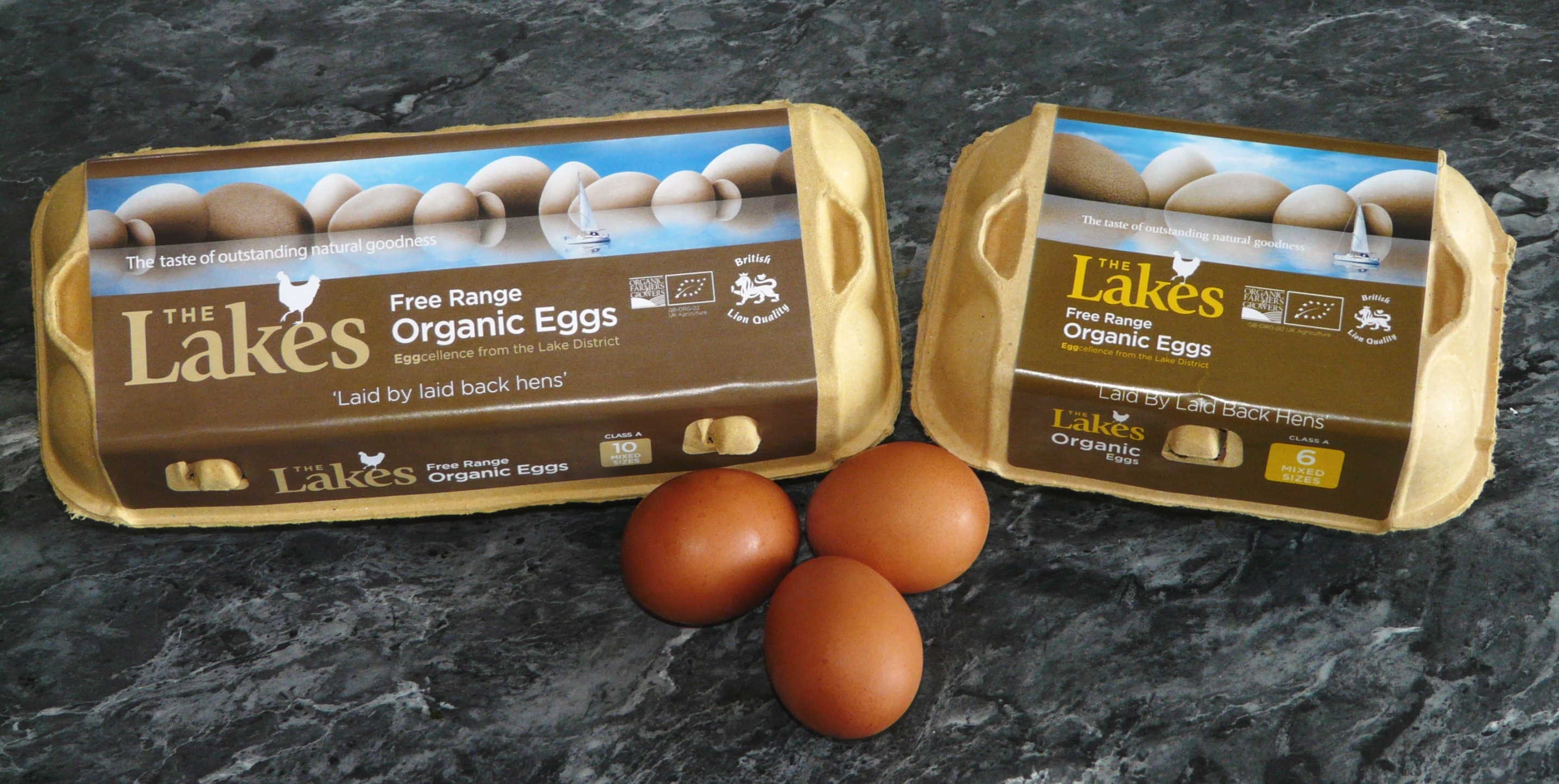 “Cracking the Code: Government Support Boosts Free-Range Egg Farming”