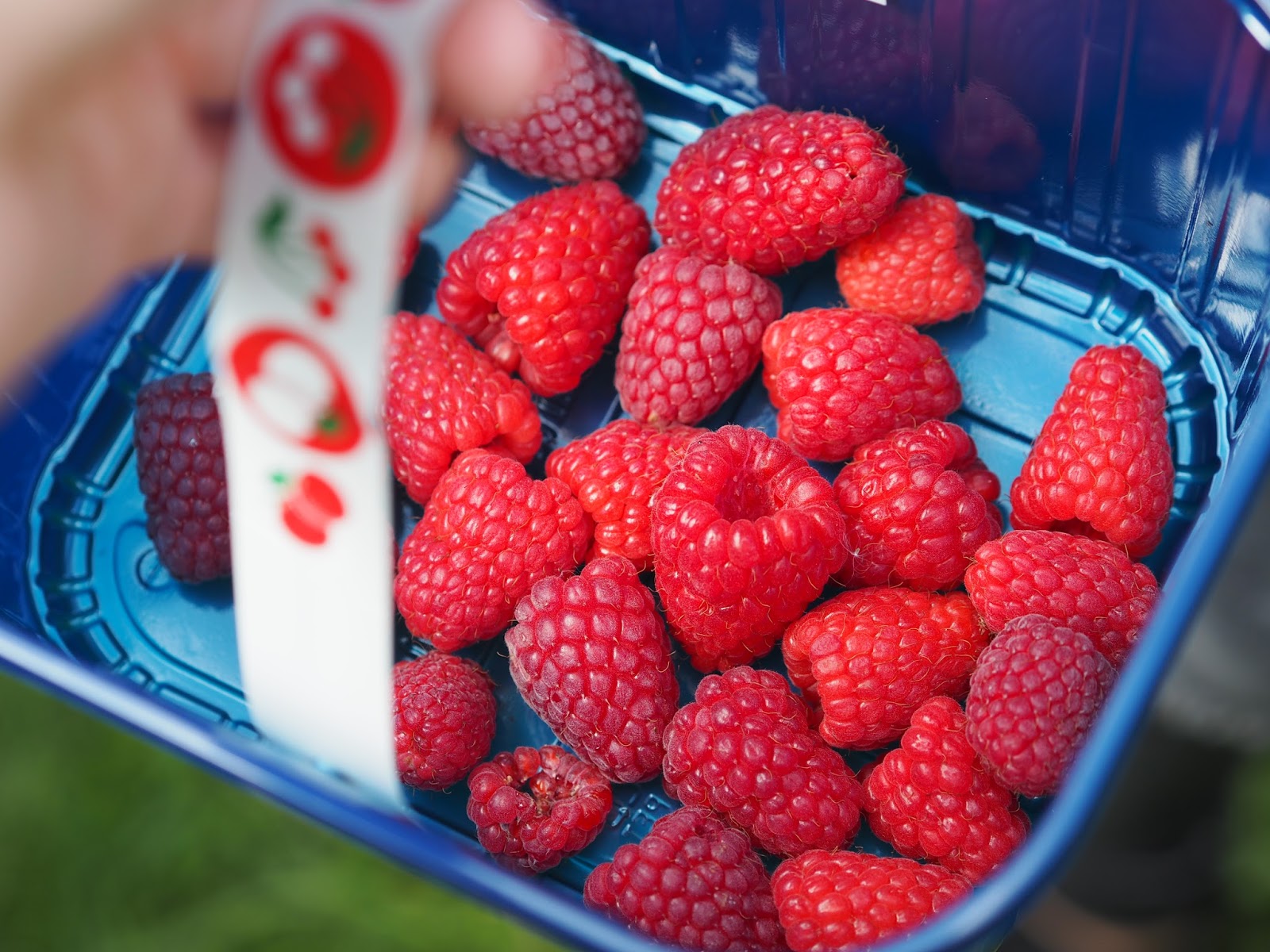 “Berry Picking: A Delicious Path to Health and Happiness!”