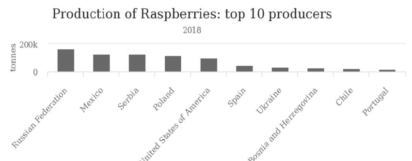 South America’s Sweet Success: Raspberry Production Thrives with Taste and Sustainability