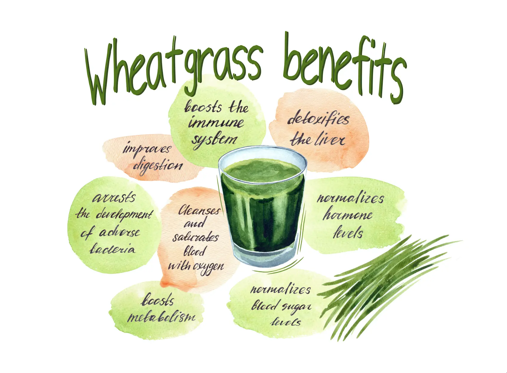 Wheatgrass: Unleashing Nature's Nutritional Powerhouse