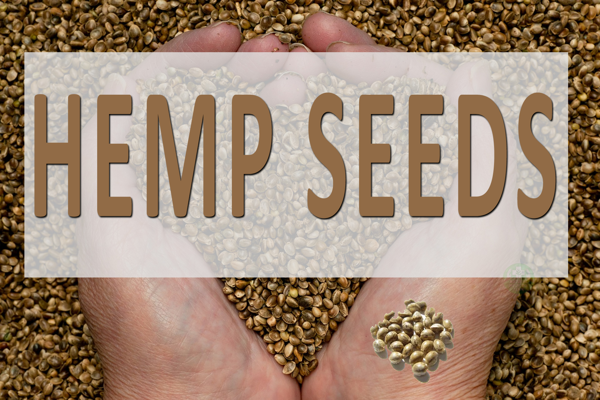 Hemp Seeds: A Natural Solution for Heart Health