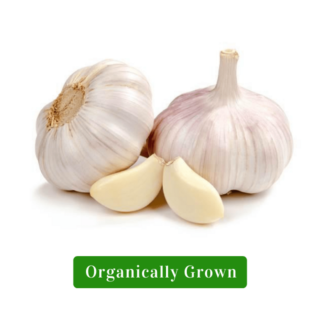 Exploring the Economics of Buying Organic Garlic: Tips for Budget-Friendly Purchases