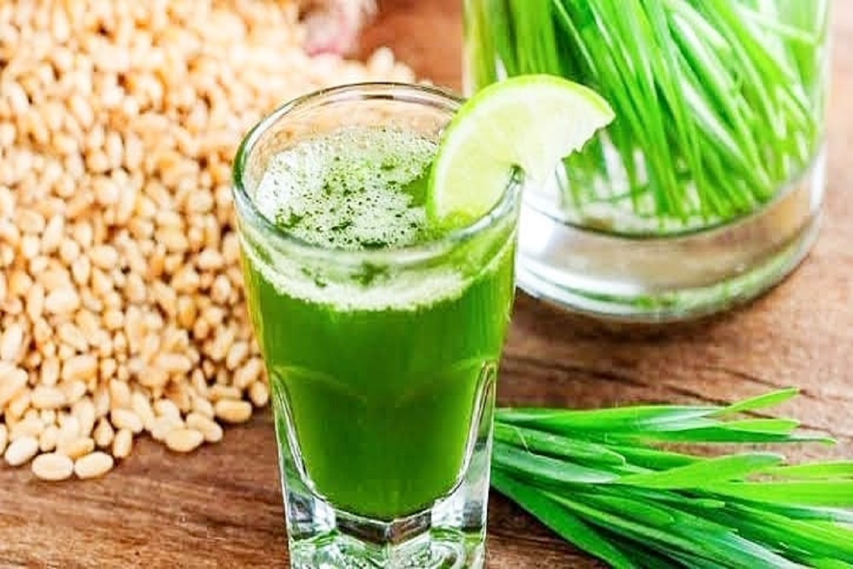 Unveiling the Wonders of Wheatgrass: Health Benefits, Growing Tips, Recipes, and More!