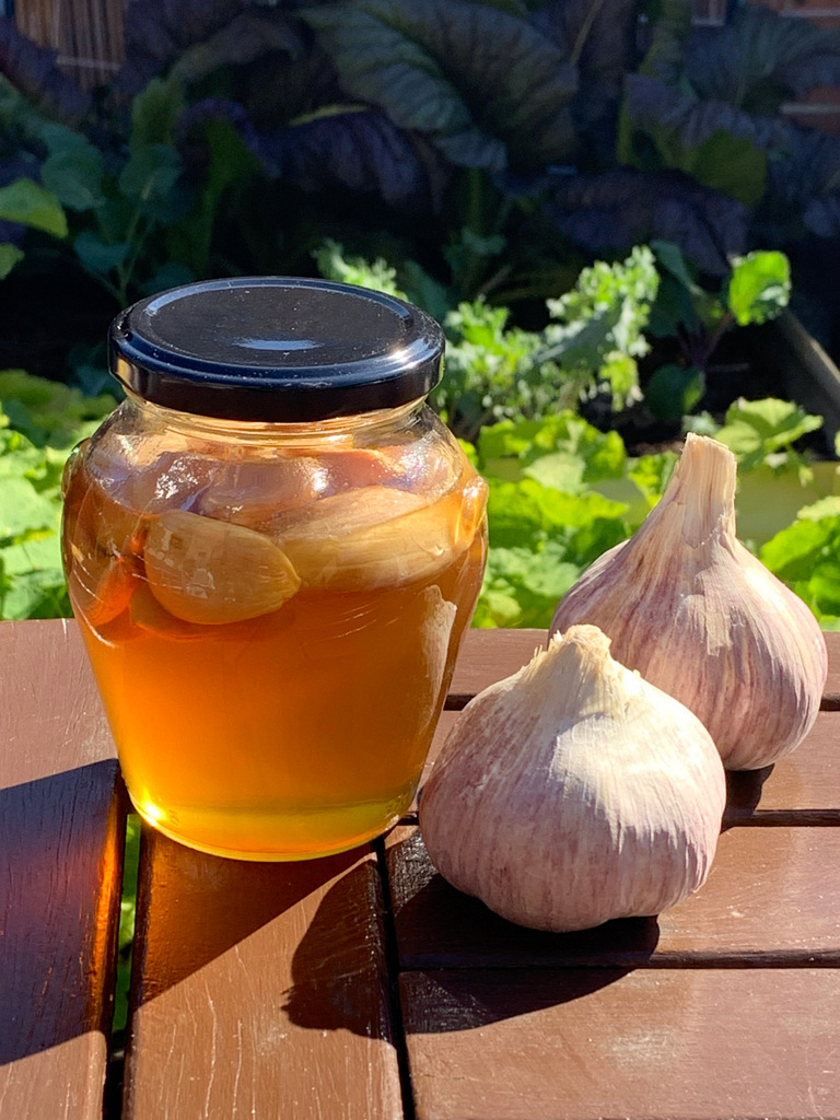 “Flavorful Twist: Fermented Garlic Recipes for a Healthy Diet”