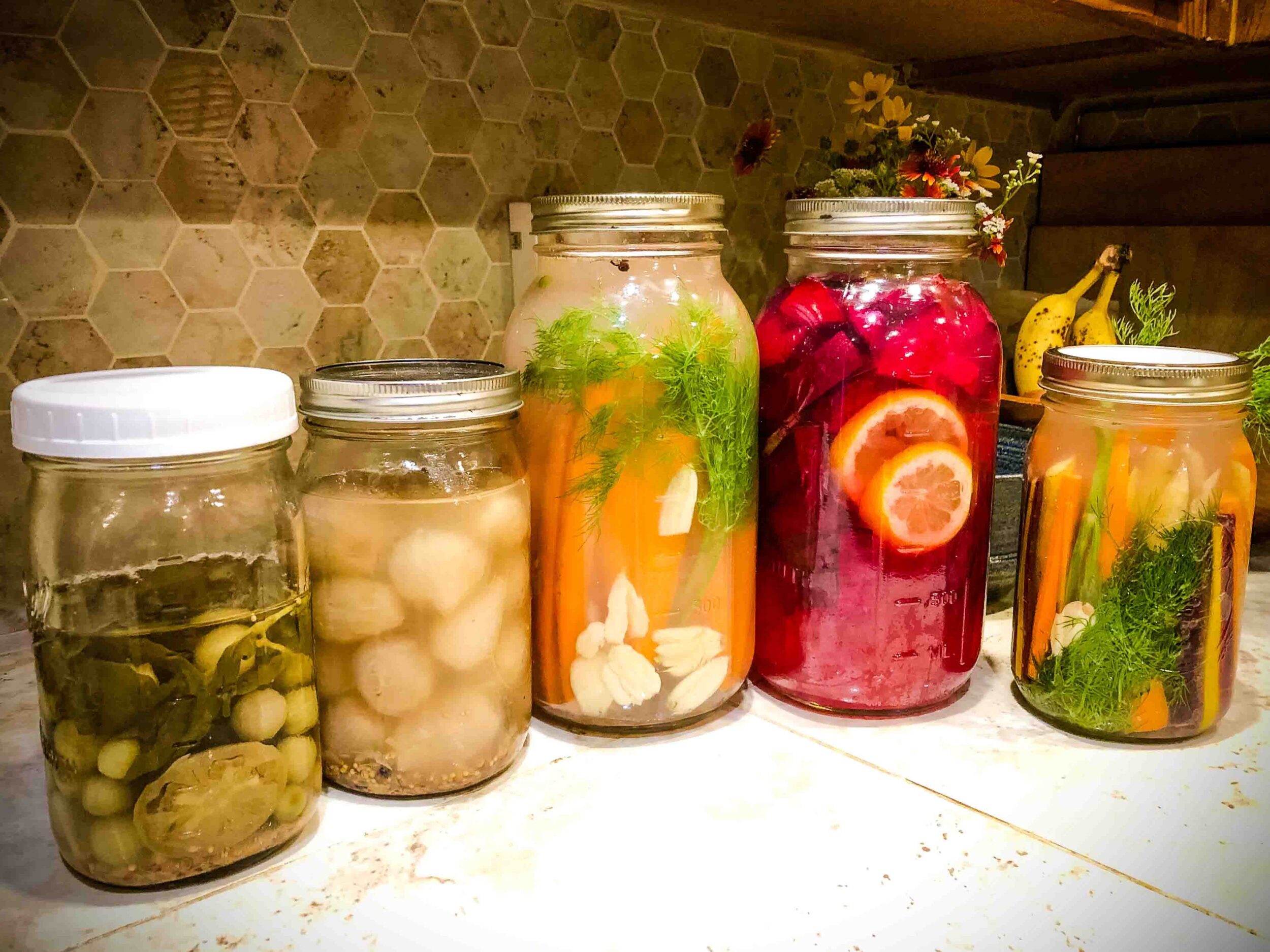 Embrace the Funk: Dive into the World of Fermented Foods!