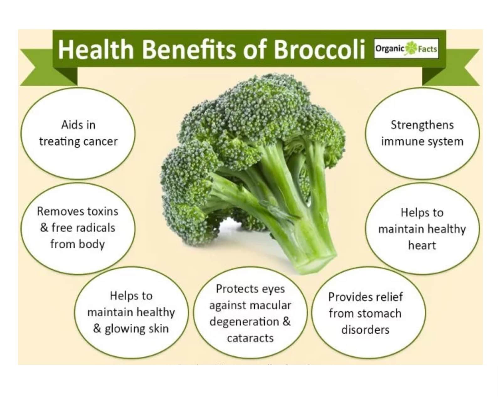 "Broccoli: The Ultimate Immune-Boosting Superfood Revealed!"