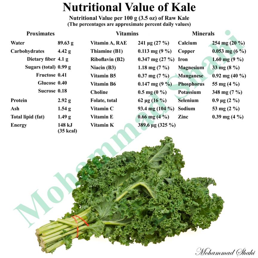 “Kale: The Nutritional Powerhouse You Need in Your Diet”