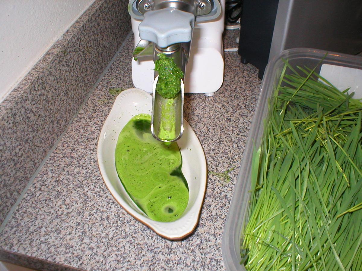“Unlock the Power of Wheatgrass: The Ultimate Superfood for Optimal Health!”