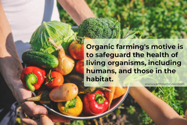 “Organic Farming: Cultivating Sustainability Through Soil Health and Biodiversity”