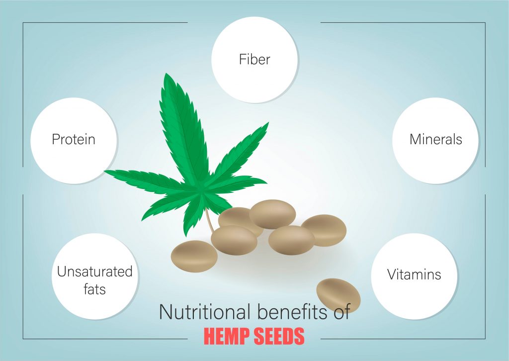 Hemp Seeds: The Nutritional Powerhouse for Healthy Eating