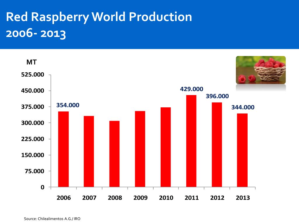 10 Associations and Organizations Revolutionizing the Raspberry Industry