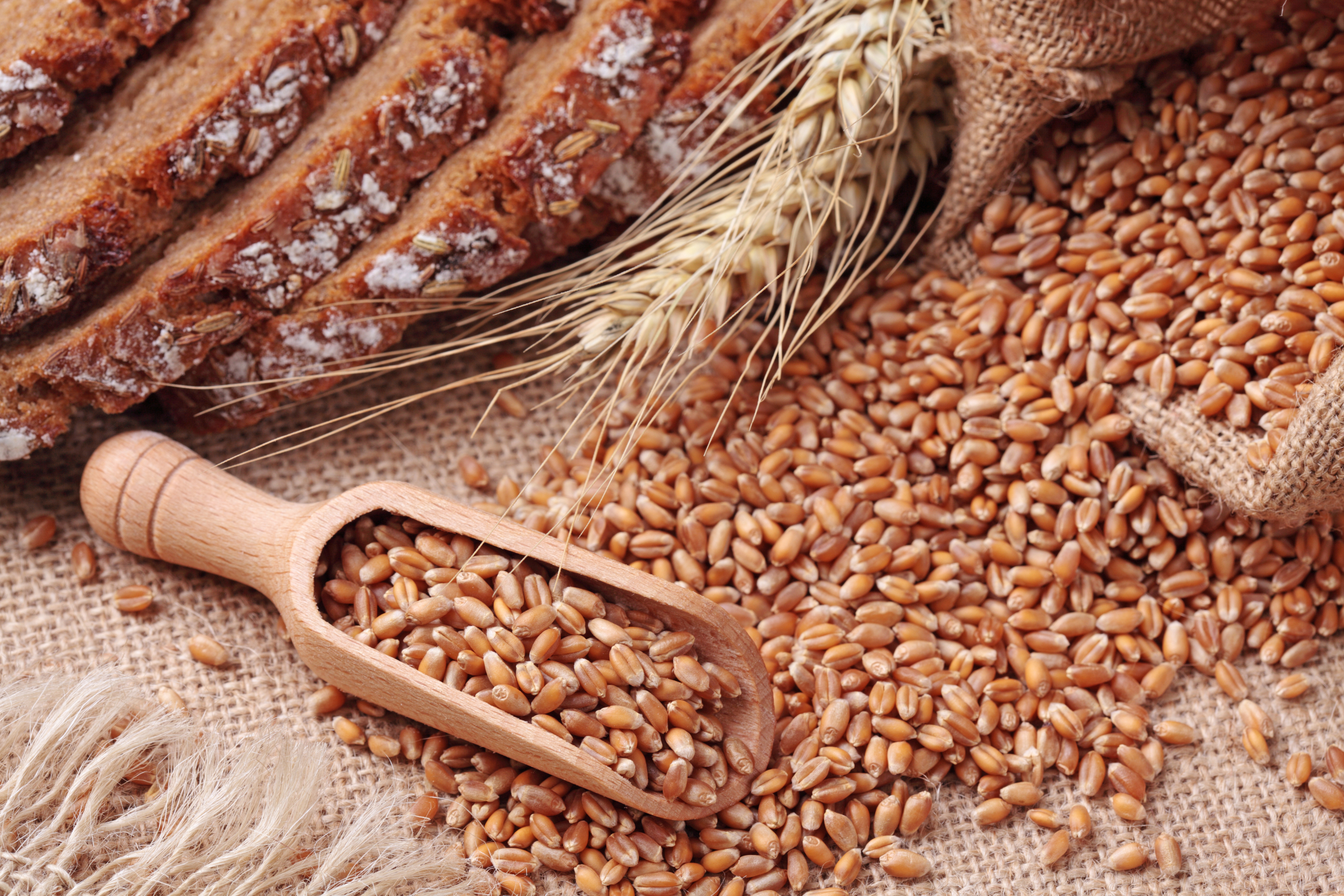 Affordable and Nutrient-Rich: Whole Grains for a Healthy Diet