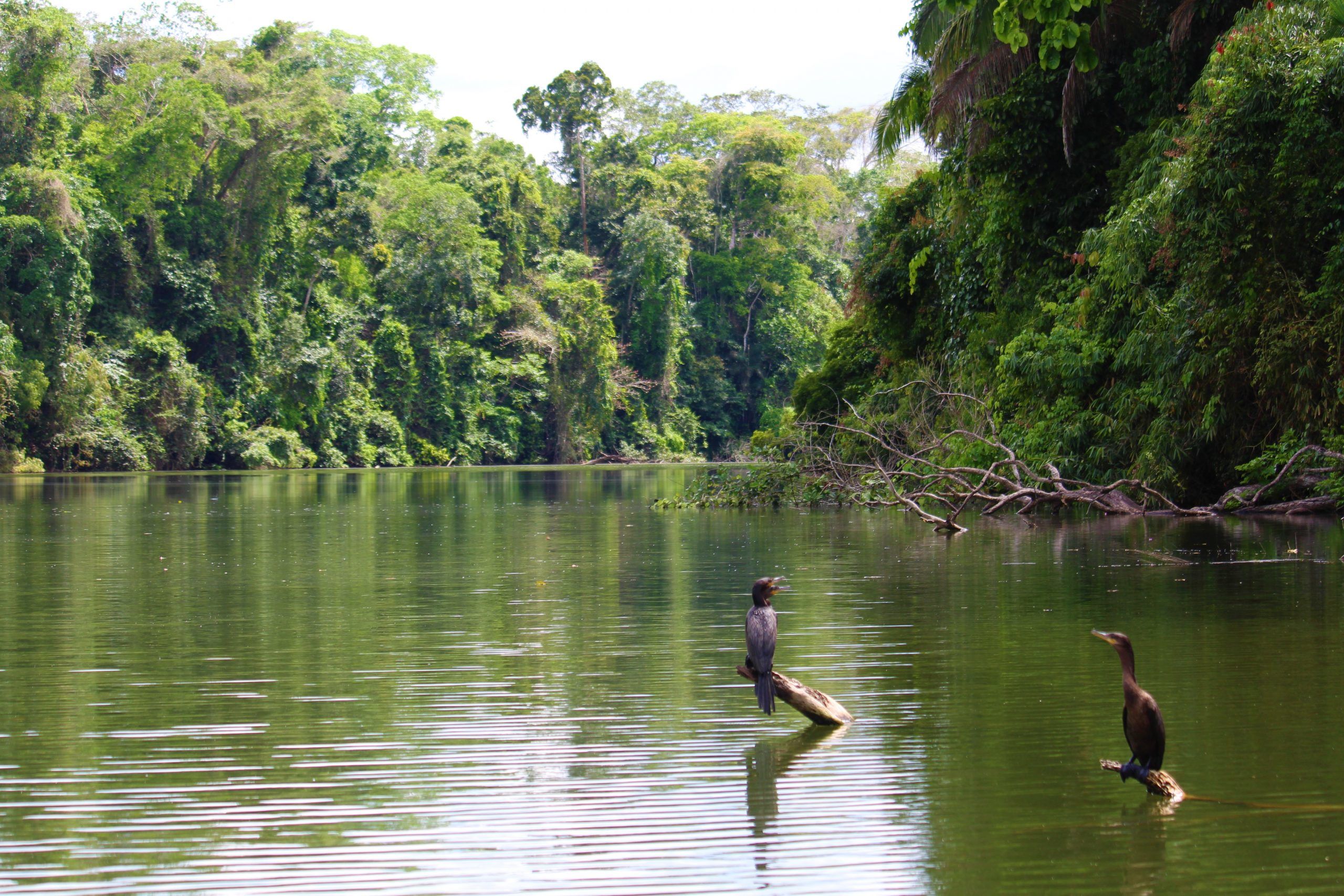 Navigating Hydration: From the Amazon to Antarctica, Unveiling Traditional Practices and Modern Solutions