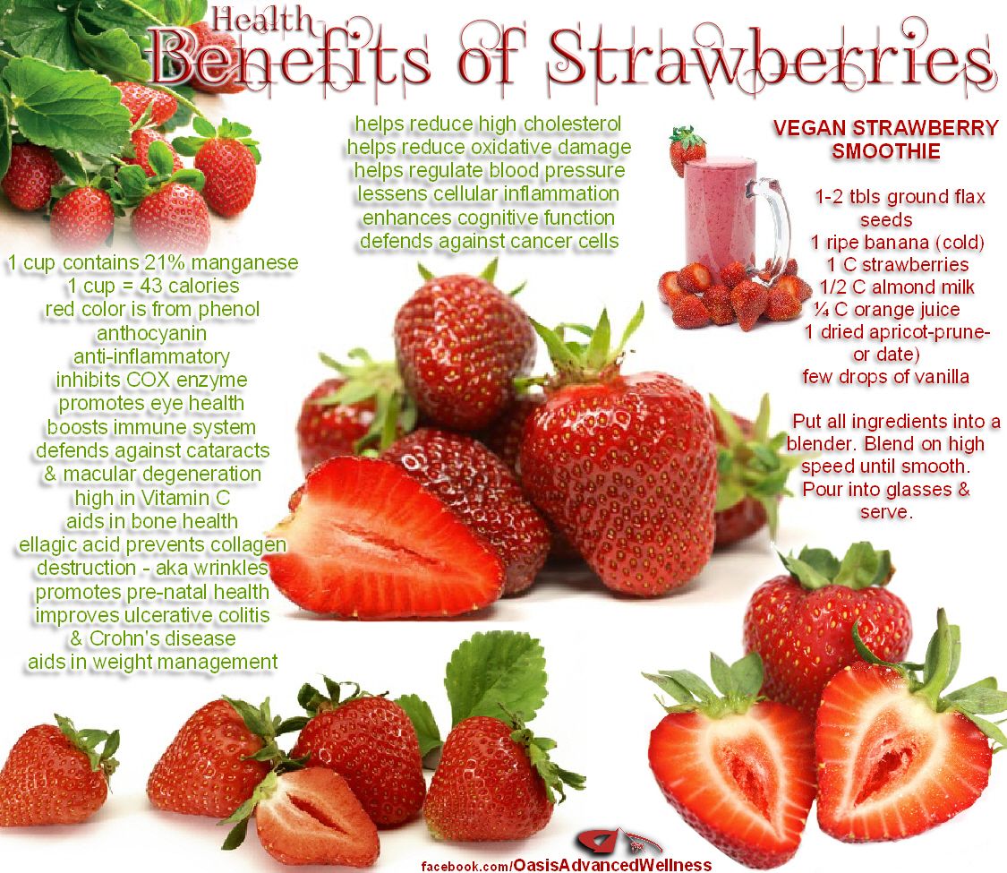 Exploring the Sweet and Versatile World of Strawberries