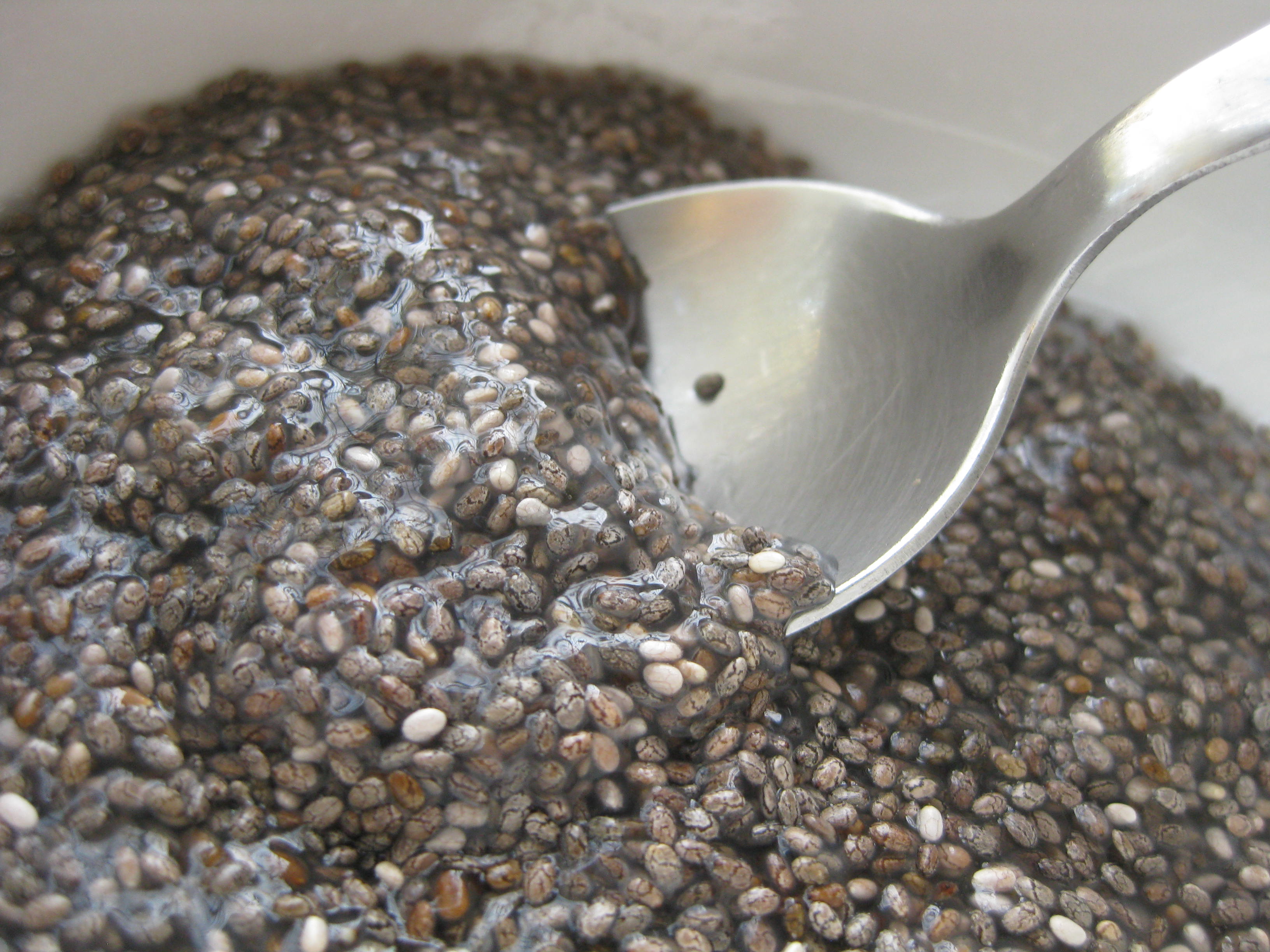 “Chia Seeds: The Tiny Superfood Taking Over Recipes Everywhere!”