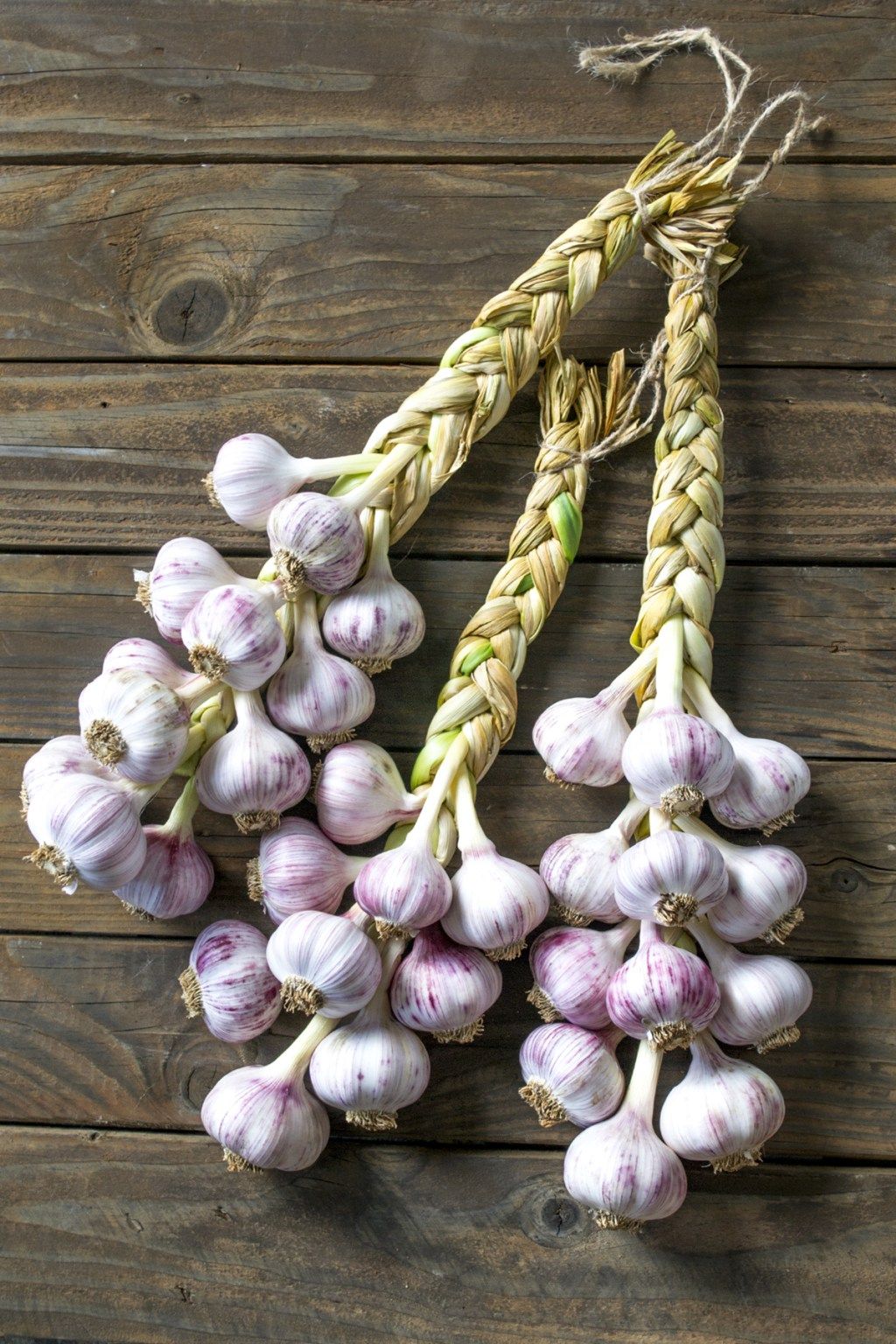 Korean Garlic: A Flavorful Superfood Gaining Global Popularity