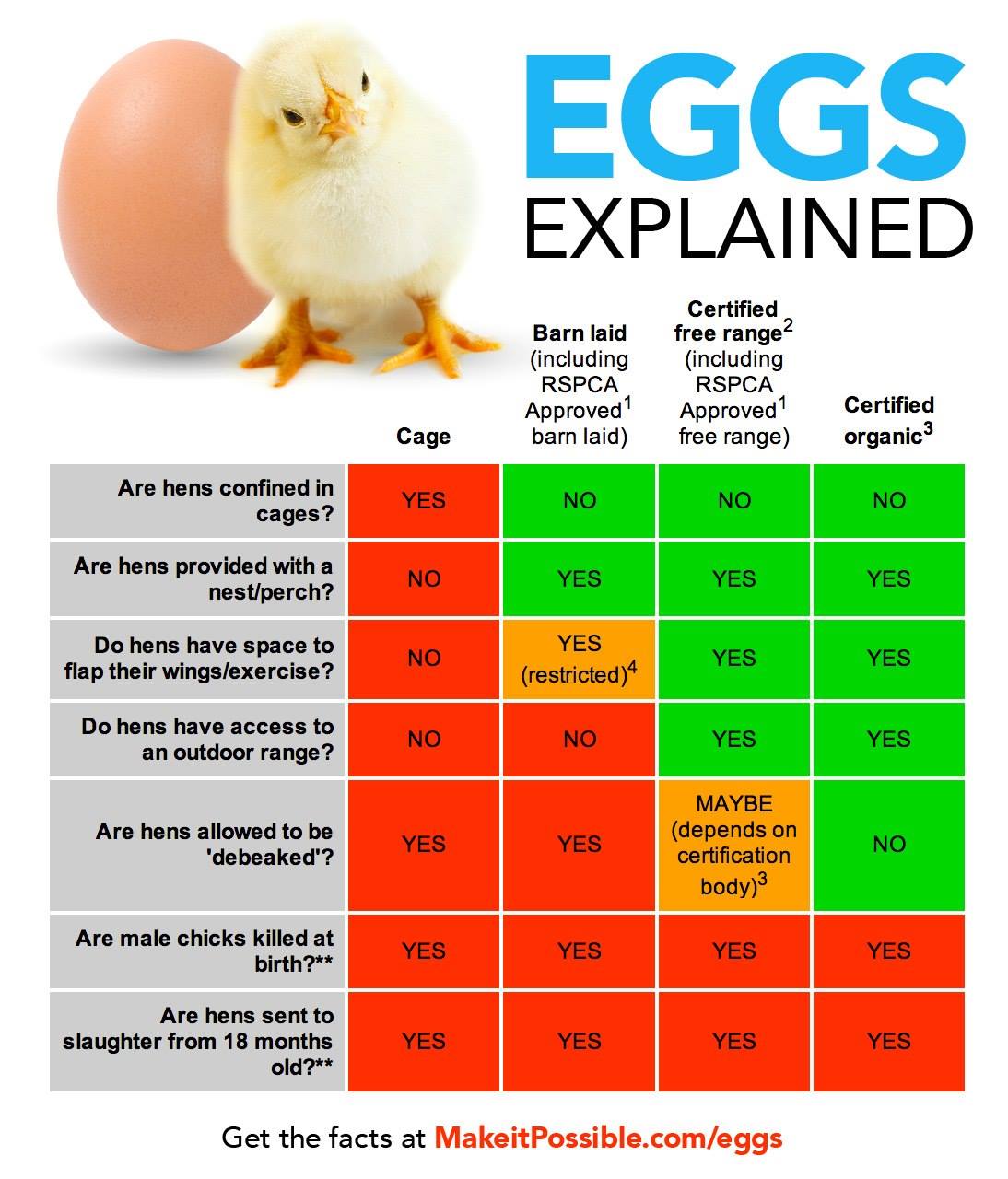 Egg-citing Benefits of Free-Range Eggs: Quality, Nutrition, and Ethics
