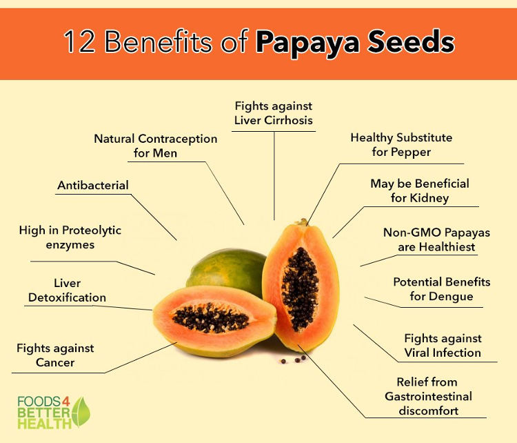 Unlocking the Hidden Potential of the Papaya Plant: Health Benefits and Culinary Delights