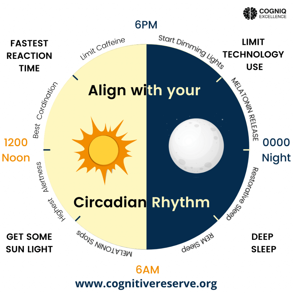 Unlocking the Power of Circadian Rhythm Fasting for Optimal Health and Weight Management