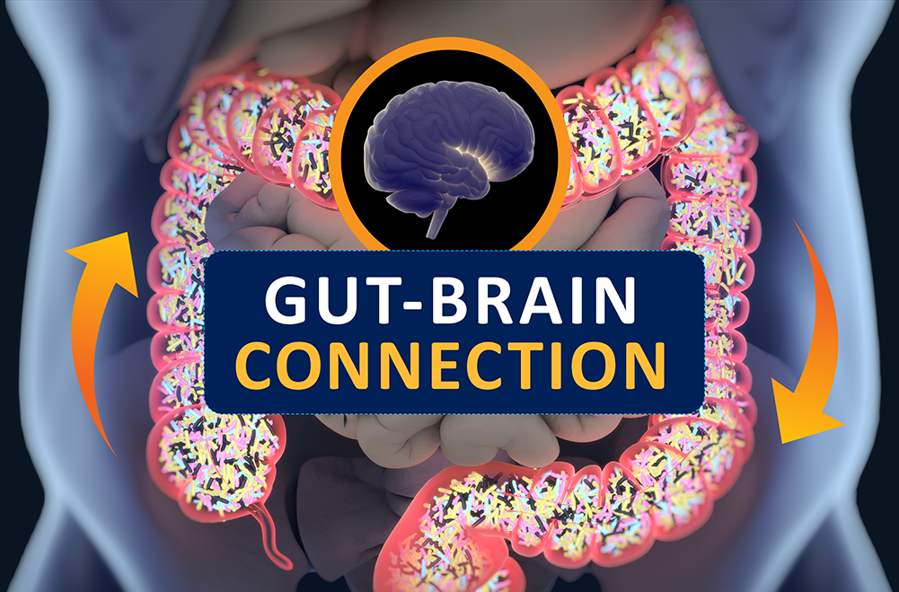 Unveiling the Gut-Brain Axis: How Diet Impacts Health & Well-Being