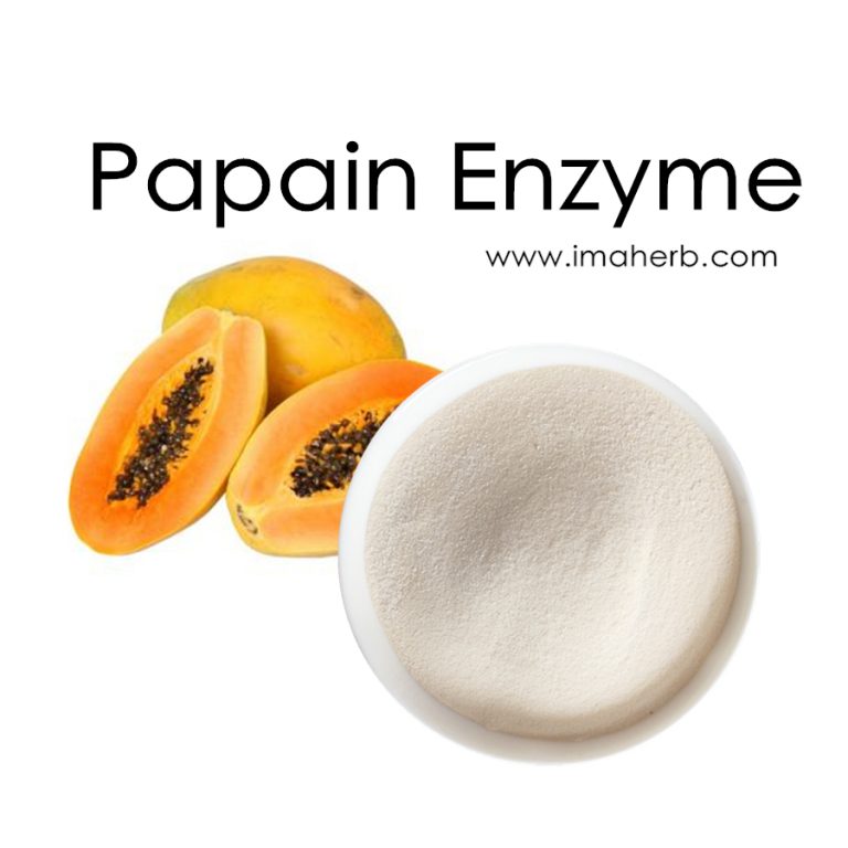 Unlock the Power of Pineapple: Health Benefits and Versatile Uses You Need to Know