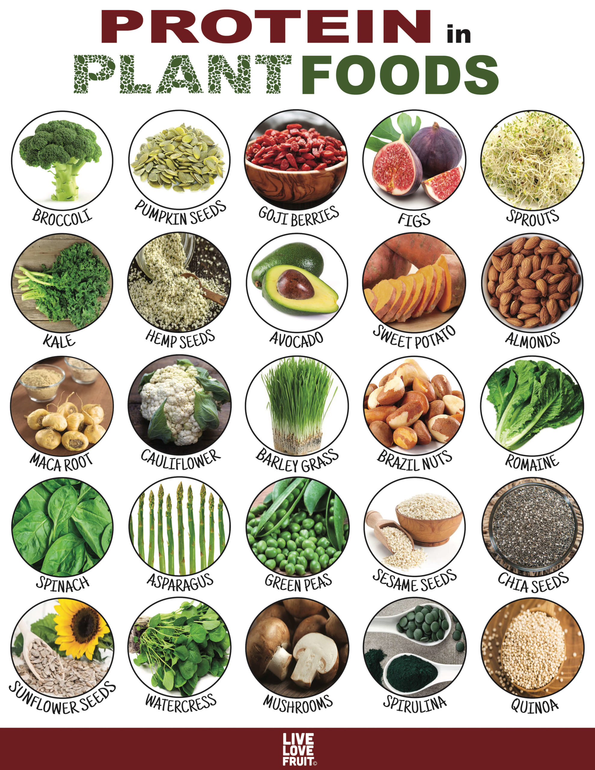 Plant-powered protein: Essential for vegetarian and vegan diets!