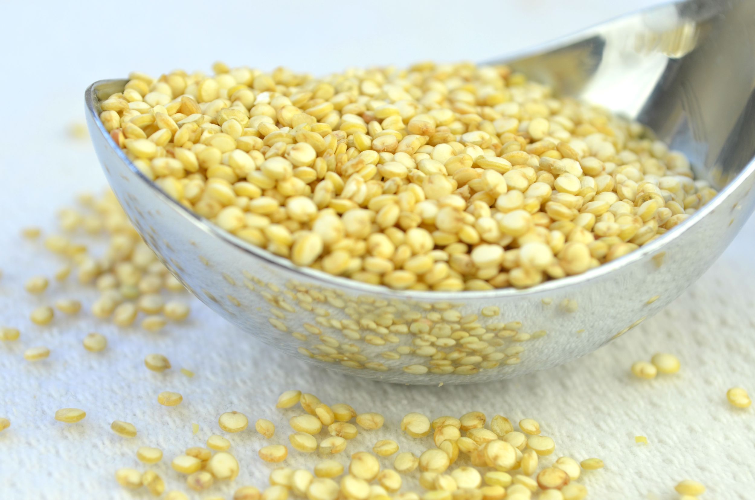 Lean Protein Options for Vegetarians: Quinoa, Tempeh, Tofu, and More to Meet Daily Needs