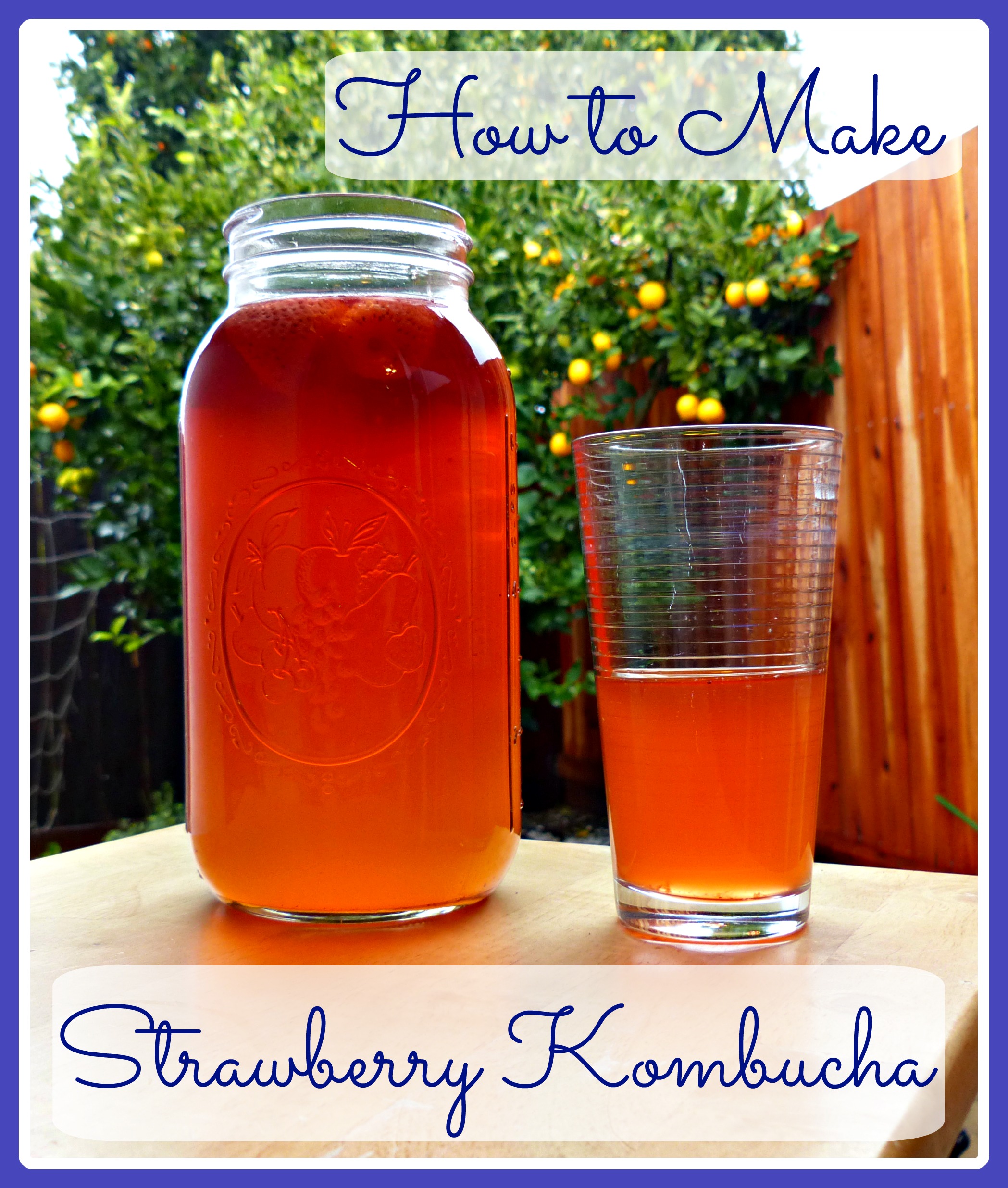 Unleash the Gut-Healthy Goodness of Kombucha: A Fizzy, Flavorful Elixir for Wellness