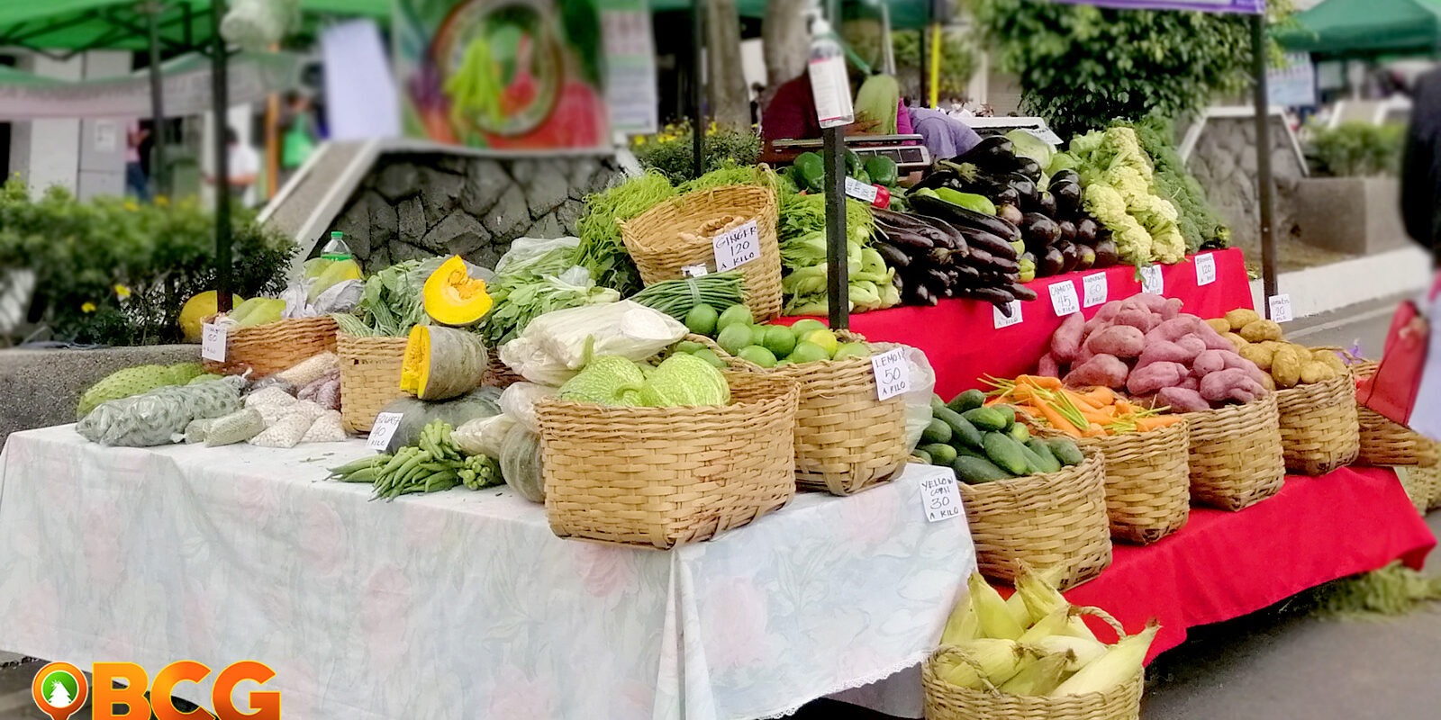 “Ethical Eats: 8 Fair Trade Products for a Healthy Lifestyle and Global Impact”