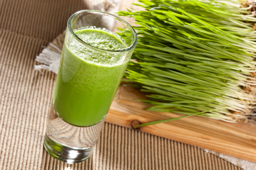 Boost Your Health with Wheatgrass: A Superfood Trend You Need to Try!