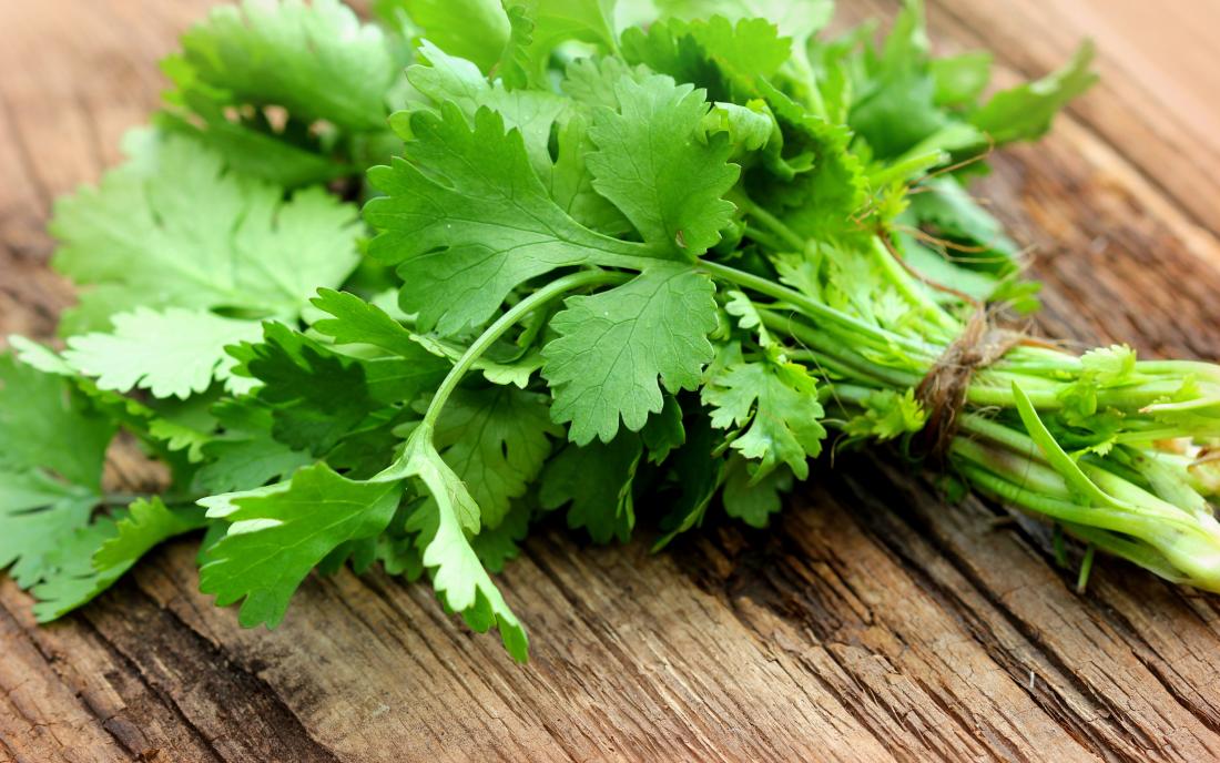 Unleash the Flavor and Health Benefits of Cilantro in Your Cooking